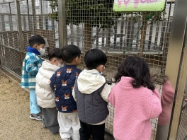 [바깥놀이] 토끼장을 관찰해요