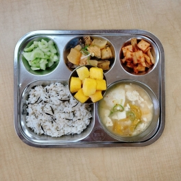 6월11일 목요일