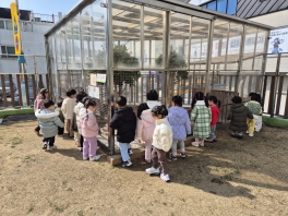 [바깥놀이] 토끼와 인사해