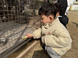 [바깥놀이] 토끼와 만나요!