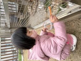 <자연탐구> 토끼를 관찰해요